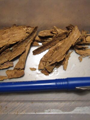 Root & Root Iboga Bark