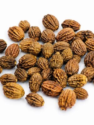 Order Iboga Seeds